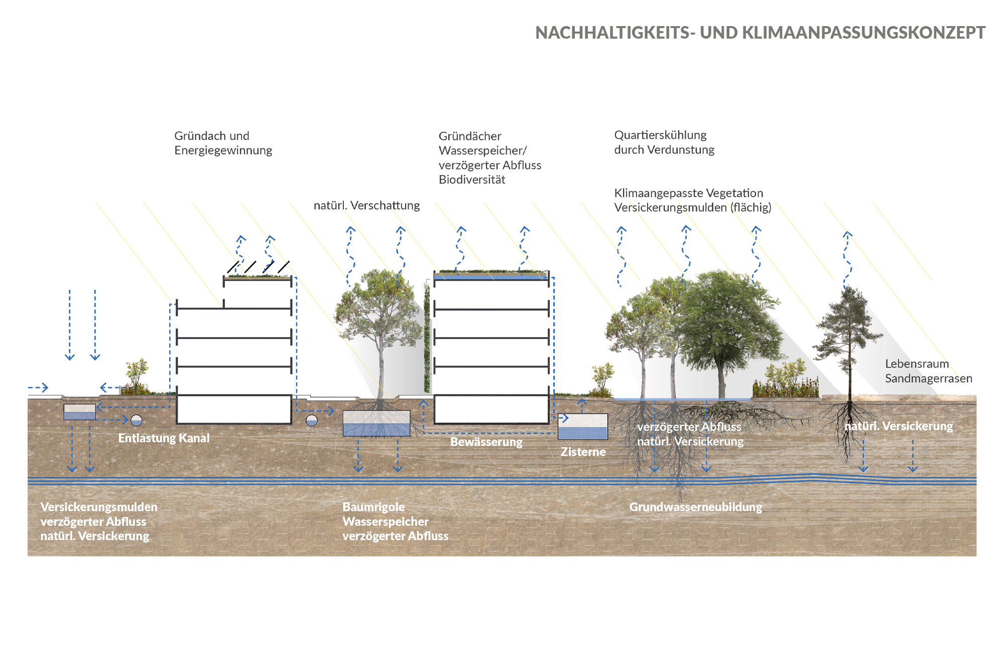 CIP_05_Nachhaltigkeit